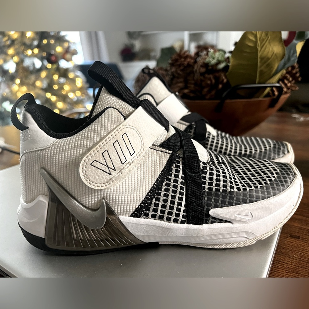 LeBron James Witness VII